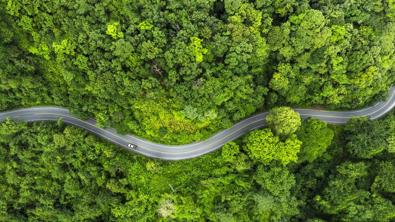 Letter from the ESG Committee Chairman