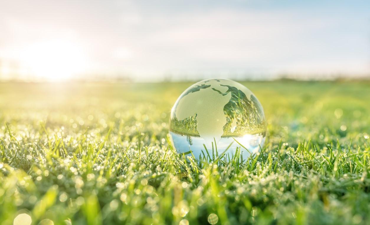 Domestic and International Initiatives