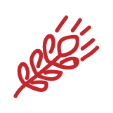 采购:23,479公斤心苑米